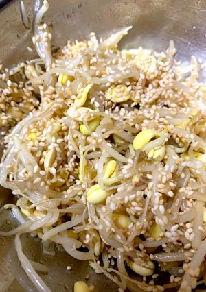 豆もやしのナムル-レシピのメイン写真