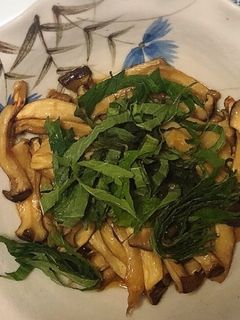 エリンギ炒め-レシピのメイン写真