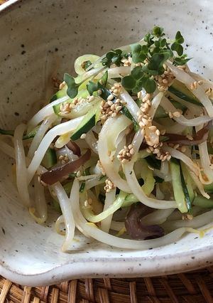 キュウリともやしの和え物-レシピのメイン写真