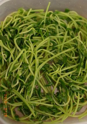 家計お助け豆苗ナムル-レシピのメイン写真