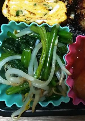 もやしとほうれん草で簡単彩り！お弁当に-レシピのメイン写真