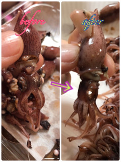 ホタルイカ めだまを取る-レシピのメイン写真