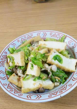 春キャベツと厚揚げの塩こうじ煮-レシピのメイン写真