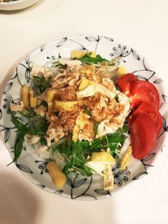 新玉ねぎと水菜の簡単ささみサラダ-レシピのメイン写真