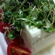 間引きバジル豆腐