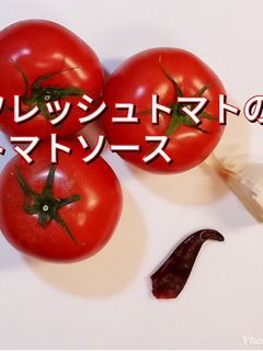 【簡単】フレッシュトマトのトマトソース-レシピのメイン写真