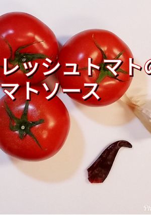 【簡単】フレッシュトマトのトマトソース-レシピのメイン写真