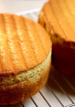 ふわふわしっとりスポンジ-レシピのメイン写真