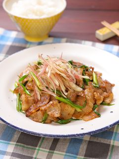 豚肉とねぎのさっぱり☆香味炒め-レシピのメイン写真
