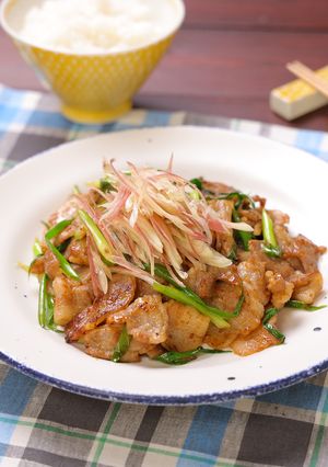 豚肉とねぎのさっぱり☆香味炒め-レシピのメイン写真
