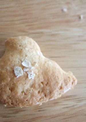 ノンオイル☆ざっくざくクッキー☆おから入-レシピのメイン写真