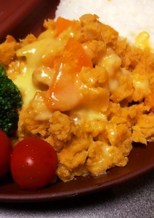 食費&カロリー削減！おからドライカレー-レシピのメイン写真
