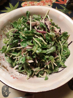 豆苗とひじきのサラダ-レシピのメイン写真