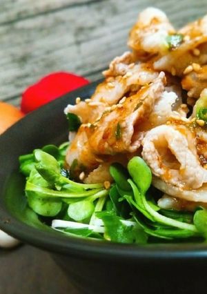 【特製だれ】絶品！かいわれ冷しゃぶ丼♪♬-レシピのメイン写真