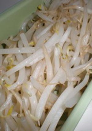 常備で便利　茹でもやし-レシピのメイン写真