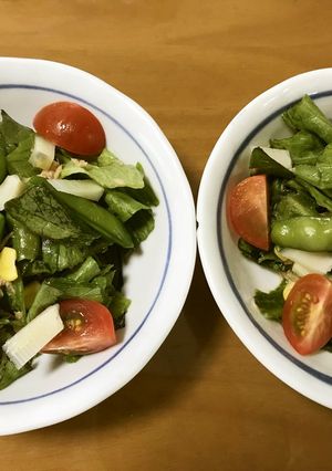 春の旬サラダ-レシピのメイン写真