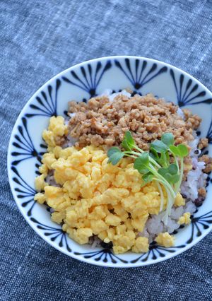万能きび酢ドレ使用!2色丼-レシピのメイン写真