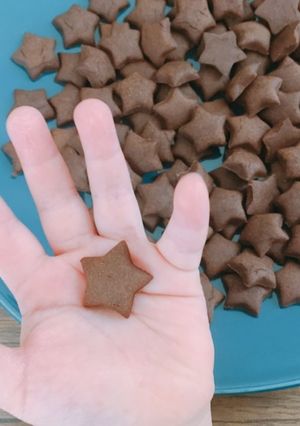 米粉とおからのココアビスケット-レシピのメイン写真