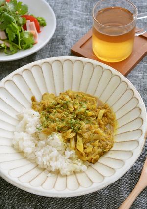 春の簡単カレー&ゼンライス-レシピのメイン写真