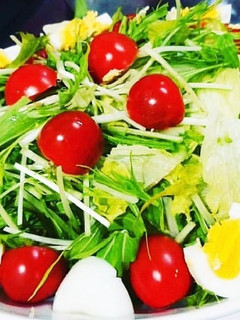 水菜とレタスのサラダ-レシピのメイン写真