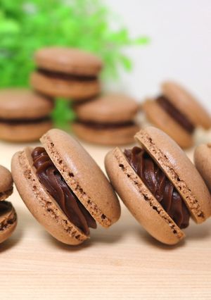 冷蔵庫で乾燥!簡単♪チョコマカロン-レシピのメイン写真