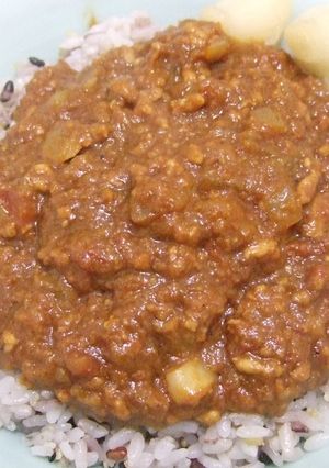 30分で「1日煮込んだ本格キーマカレー」-レシピのメイン写真