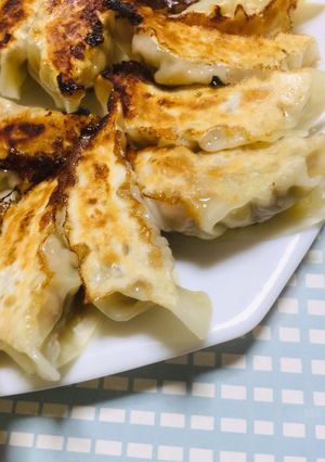 春キャベツとタケノコの生姜餃子-レシピのメイン写真