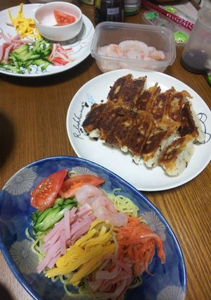のっけ盛り冷やし中華2019お初☺️❤️-レシピのメイン写真