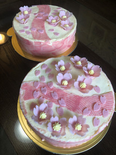 桜のムースケーキ-レシピのメイン写真