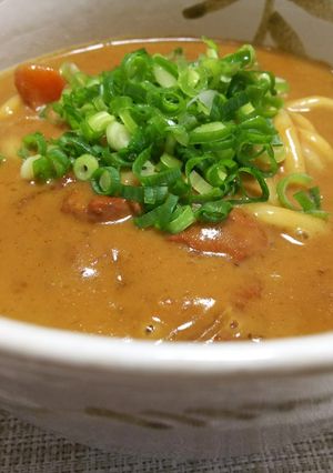 残ったカレーで濃厚クリーム カレーうどん-レシピのメイン写真