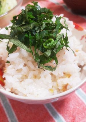 梅しらすごはん♪-レシピのメイン写真