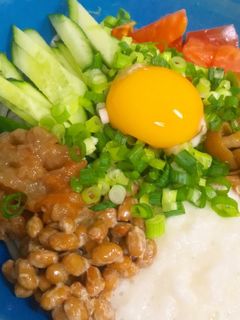 簡単♪ネバネバ&野菜のぶっかけうどん❀-レシピのメイン写真