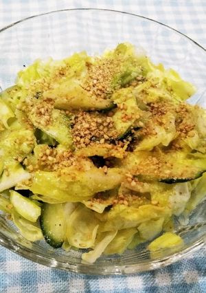 あと1品に!キャベツのうま塩漬け-レシピのメイン写真