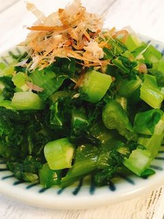 高菜　20kg 専用ページ NO.1 楽天市場】高菜 1㎏の通販