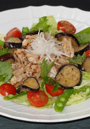 豚しゃぶ肉となすのうま塩炒めサラダ-レシピのメイン写真