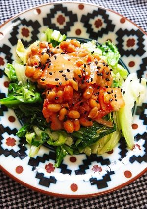 ササッと1品！春キャベツの納豆のせ-レシピのメイン写真