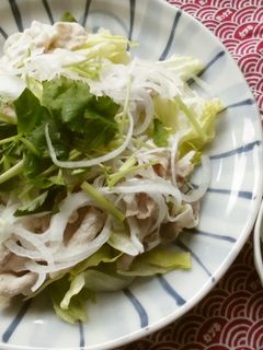 新たまねぎと一緒に!冷たい豚しゃぶ-レシピのメイン写真