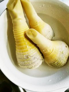 たけのこの茹で方-レシピのメイン写真