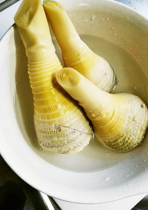 たけのこの茹で方-レシピのメイン写真