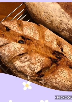 ラムレーズンとピーカンナッツのライ麦パン-レシピのメイン写真