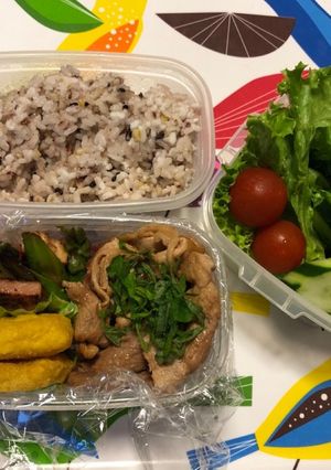 ママへのお弁当^_^190430-レシピのメイン写真