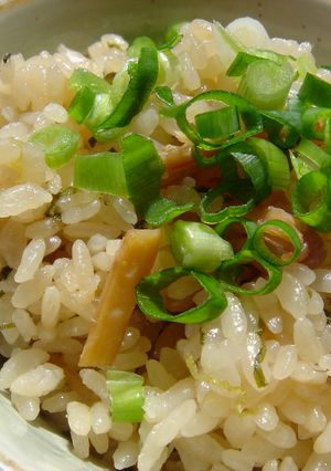 さきイカとネギの炊き込みご飯-レシピのメイン写真