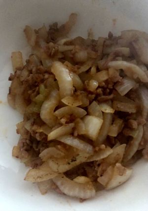 新玉ねぎとひき肉のオイスター炒め-レシピのメイン写真
