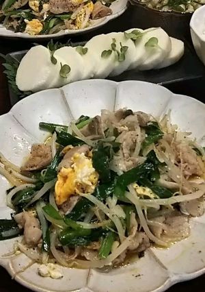 家のニラ肉炒め-レシピのメイン写真