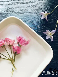八重桜の塩漬け-レシピのメイン写真