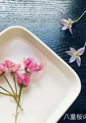 八重桜の塩漬け-レシピのメイン写真