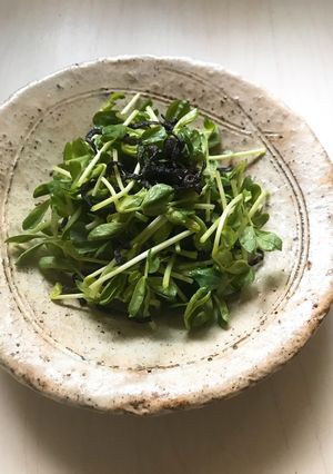 これだけで美味しい「豆苗と塩昆布」-レシピのメイン写真