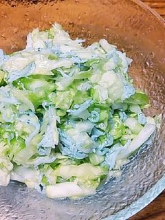 無限♪千切りキャベツ-レシピのメイン写真