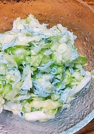 無限♪千切りキャベツ-レシピのメイン写真