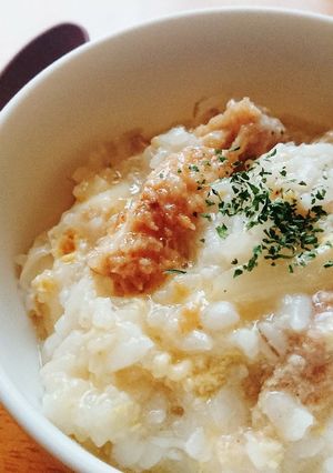 カツおかゆ丼-レシピのメイン写真